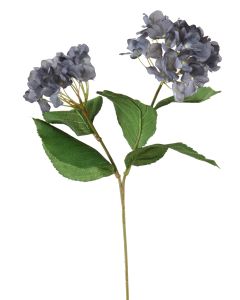 Hydrangea with Leaves in Gray Blue