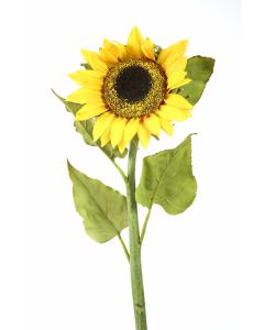 Medium Sunflower in Gold