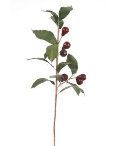 Olive Branch in Burgundy Red