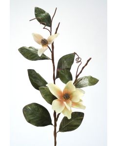 Small Magnolia Branch White Blush (Sold in Multiples of 6)