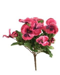 Pansy Bush in Deep Mauve Pink (Sold in Multiples of 12)