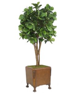 8' Fiddle Leaf Tree in Brown Faux Leather Finish Chateau Planter with Claw Feet