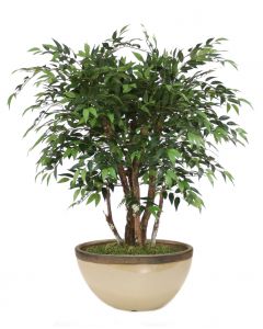 4'  Ruscus Glazed Sand and Bronze Oval Earthenware Planter