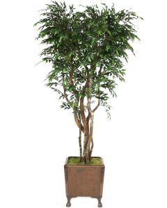 8' Ruscus Tree in Brown Faux Leather Finish Chateau Planter with Claw Feet