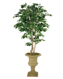 7' Deluxe Ficus Tree in Tan Classic Urn