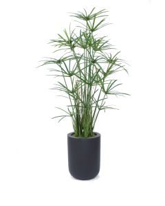 6' Papyrus With Grass and Bamboo in a Black Fiberstone Planter