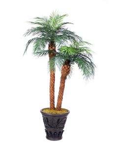 8.5' Phoenix Palm Tree X 3 In Black Cedarwood Fiberglas Garden Planter