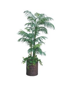 8' Phoenix Palm Tree in 18" Light Stained Round Core Planter