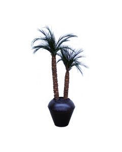 Robellini Palm x2 in Tall Natural Coconut Mosaic on Fiberglass Container