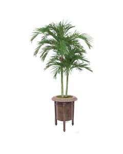 9ft Areca Palm in Beige Carlo Planter