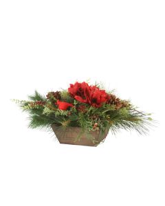 Mixed Pine With Berries And Amaryllis In Box Planter