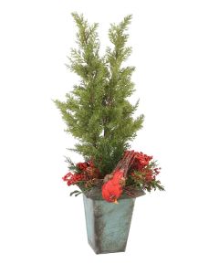 Fir Trees In Antique Square Planter With Berries and Red Birds