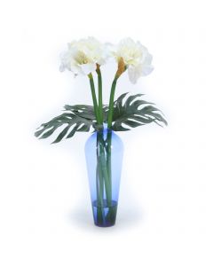 White Amaryllis with Philo Leaf in Blue Vase