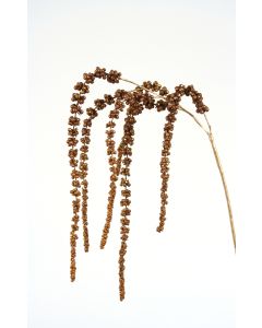 43" Hanging Copper and Bronze Glittered Amaranthus Spray