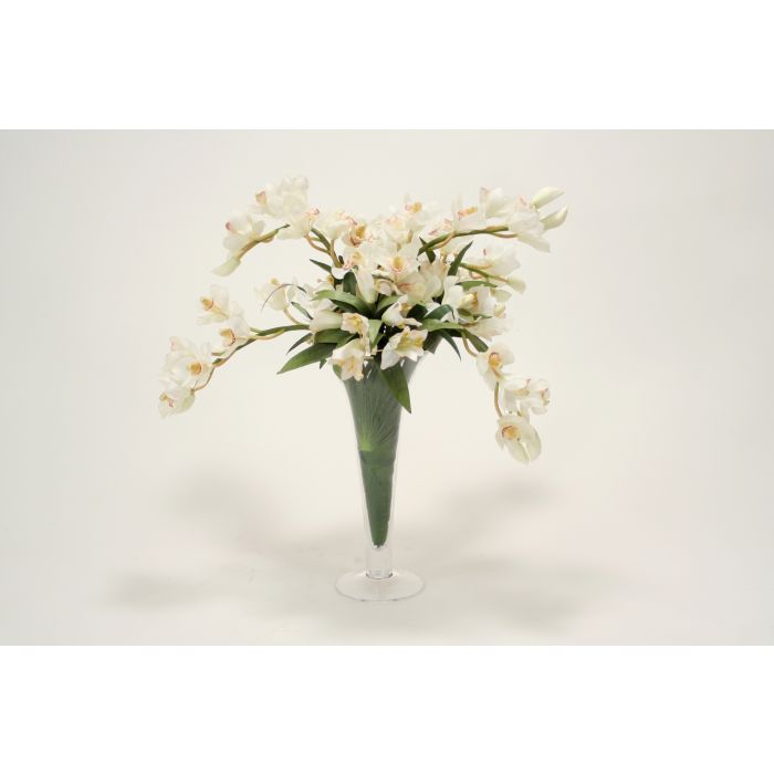 Waterlook White Orchid Tropical Mix In Glass Vase Distinctive