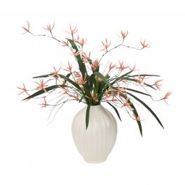 Spider Orchids with Foliage in Porcelin Pot - Distinctive Designs